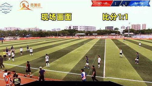 成都体育学院爆料视频最新,揭秘校园内幕，真相令人震惊