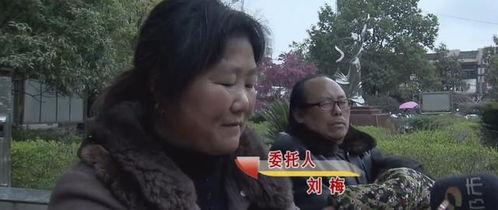 爆料婆婆视频大全集,揭秘家庭生活点滴 第1张 爆料婆婆视频大全集,揭秘家庭生活点滴 第1张